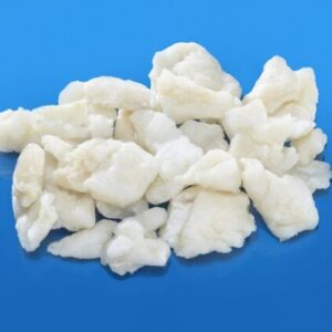 BACALAO MIGAS ALIGATOR