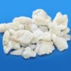 BACALAO MIGAS ALIGATOR