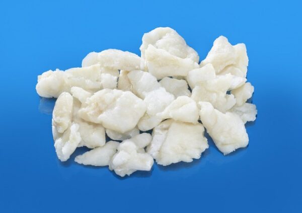 BACALAO MIGAS ALIGATOR BACALAO MIGAS ALIGATOR