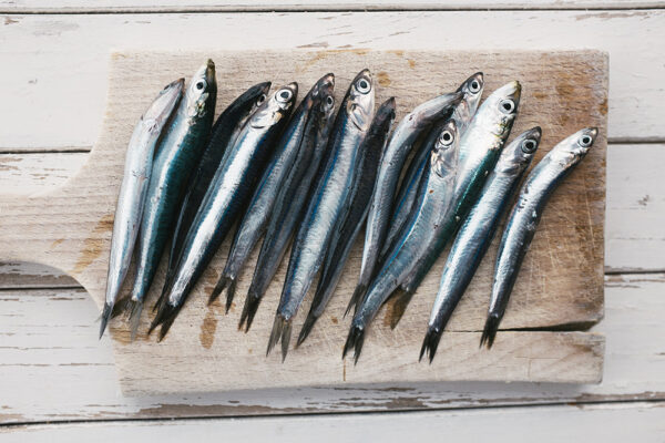 BOQUERON ENTERO BOQUERON ENTERO