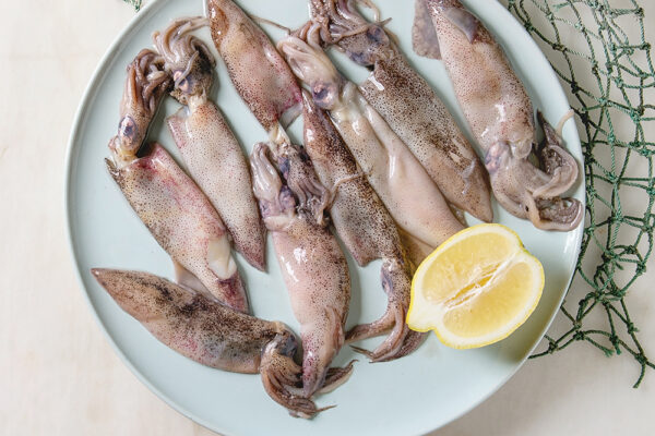 CALAMAR 4 LARGO CALAMAR 4 LARGO