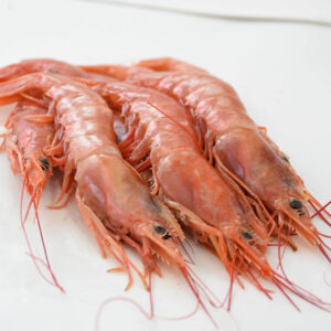 GAMBON Nº2 ABORDO 6X2