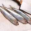 SARDINAS